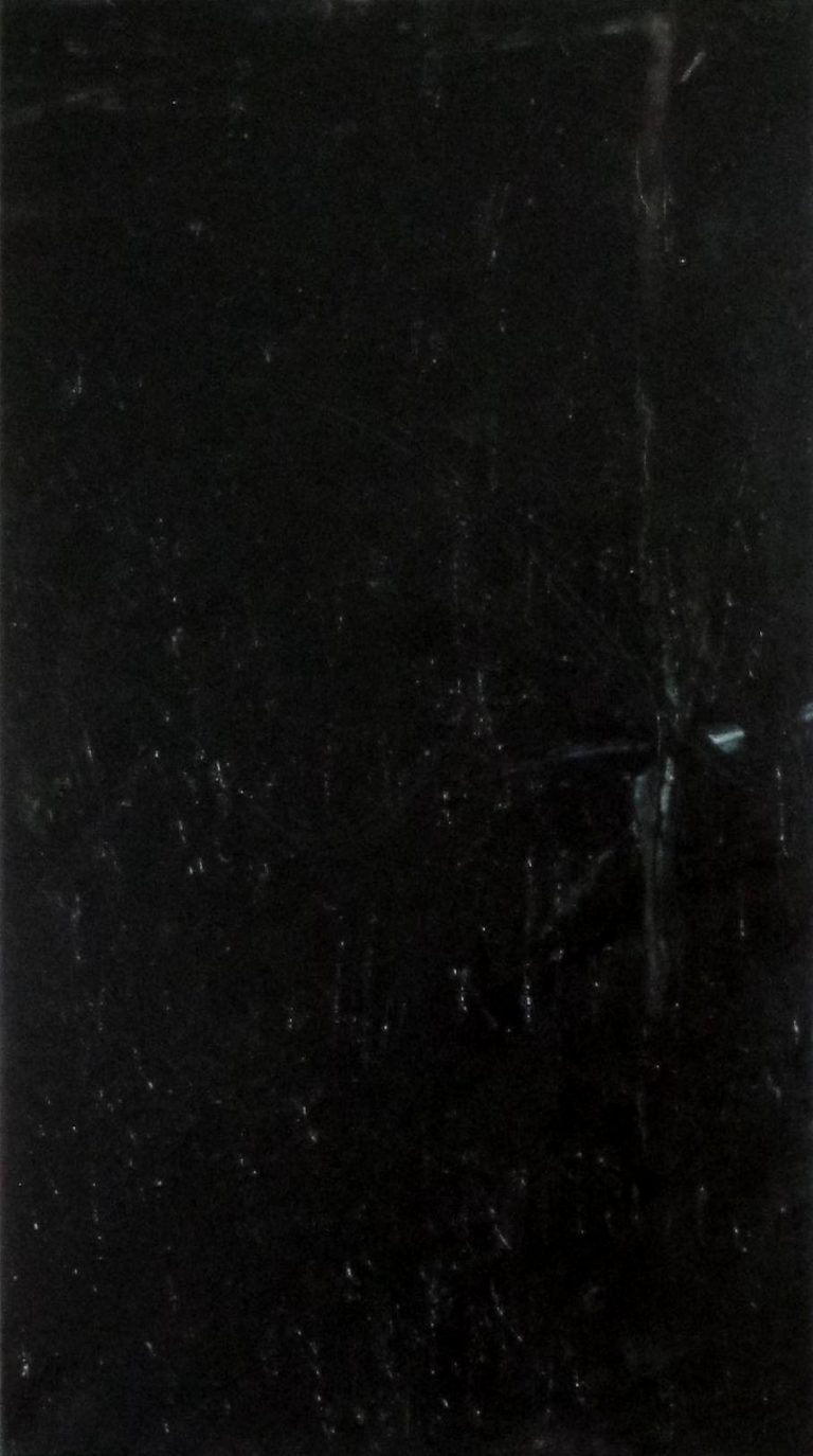 as git mi/ I exist / oil on canvas / 2016 / 70x125 cm