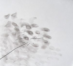 no title / charcoal on paper / 2017 / 30x30 cm