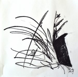 one single line / 2019 / charcoal on paper / 30x30 cm